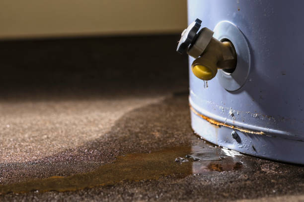  Wood Village, OR Water damage restoration Pros