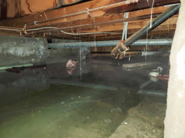 Best Water damage restoration insurance claims  in Wood Village, OR
