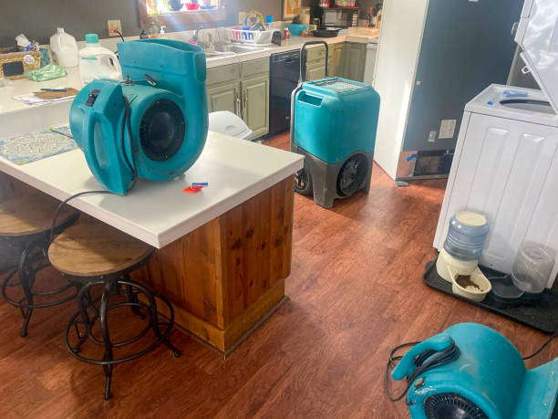 Water damage restoration insurance claims in Wood Village, OR