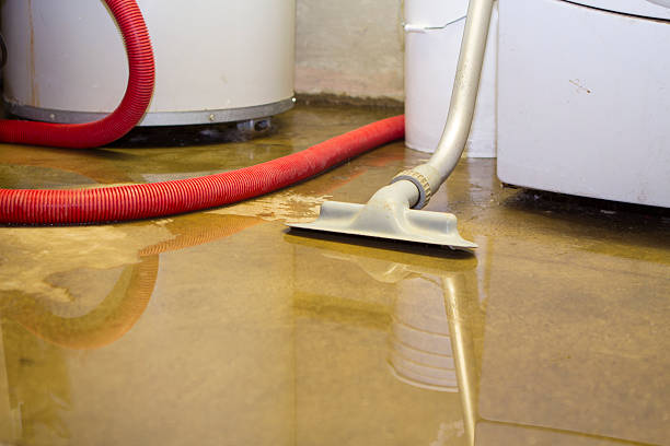 Best 24-hour water damage restoration  in Wood Village, OR