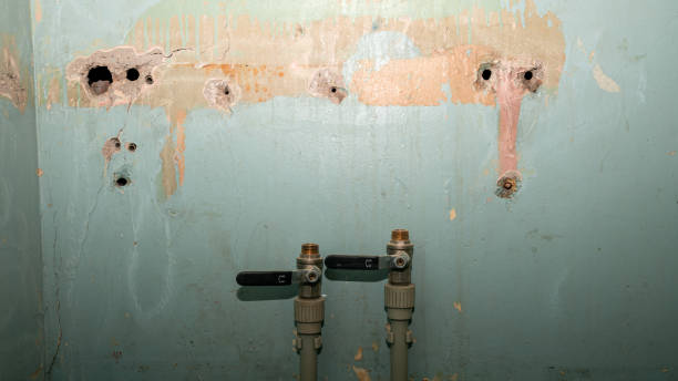 Best Professional water damage repair  in Wood Village, OR