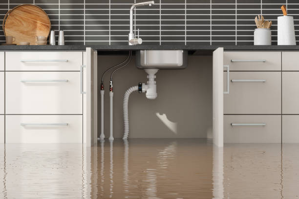 Best Professional water damage repair  in Wood Village, OR