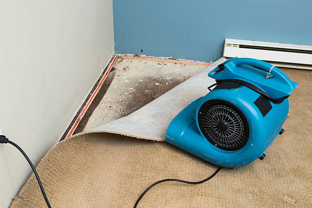 Best Water damage mitigation services  in Wood Village, OR